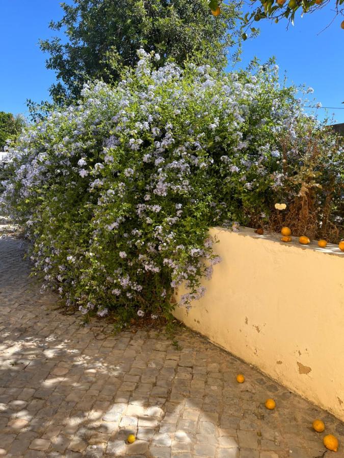 Quinta Da Layla Villa Olhão Eksteriør billede