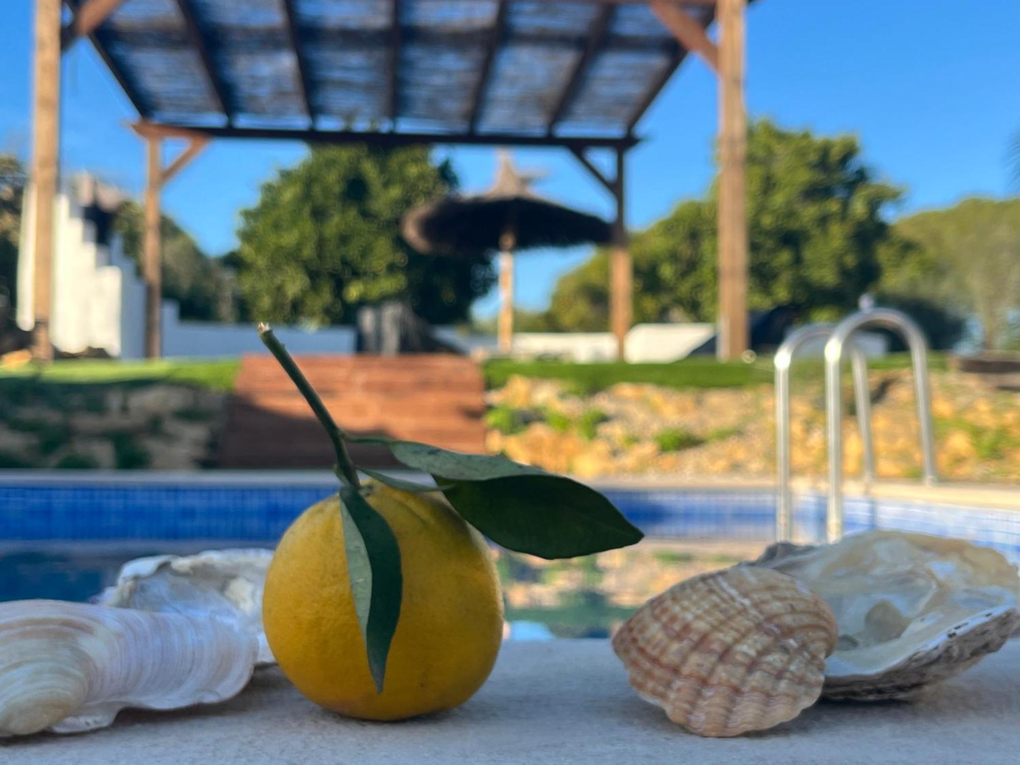 Quinta Da Layla Villa Olhão Eksteriør billede